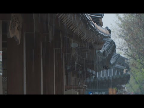 Peaceful Rainfall Sounds, 고풍스런 한옥 처마에 내리는 <strong>봄비</strong> 소리 ASMR