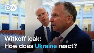 Leak: US envoy Witkoff told Russia how to pitch peace plan to Trump | DW News