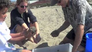 Making Sand Globes - DRAFT