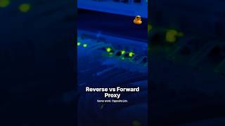 Forward vs Reverse Proxy, Explained
