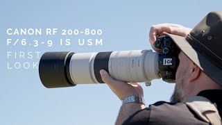 Canon RF 200-800 f/6.3-9: First Look