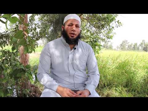 شجرة الجوز في المنام للشيخ أحمد عبد الحافظ