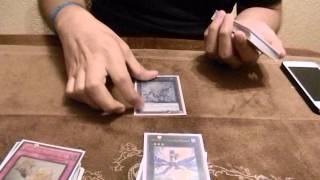 Inzektor Deck Profile 2013