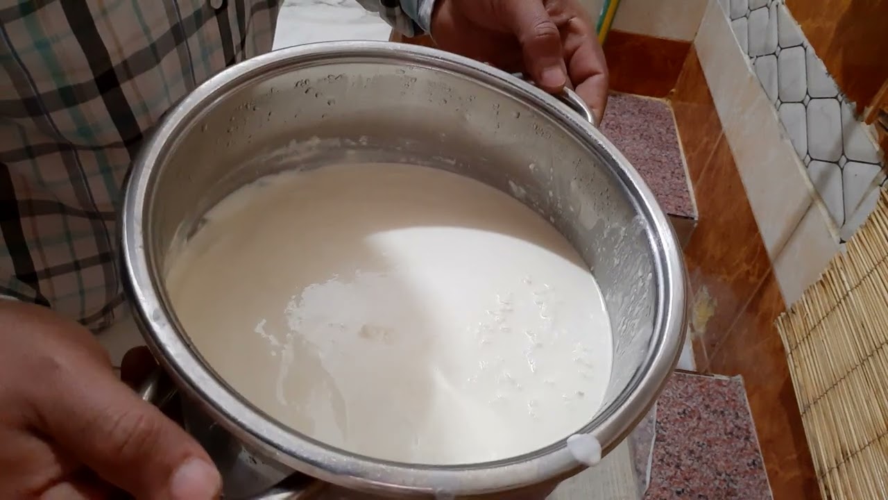 طريقة عمل الجبنة القريش فى الحصيرة واستخراج القشطة من ٣ كيلو لبن فلاحى بخيره بدون فراز اللبن