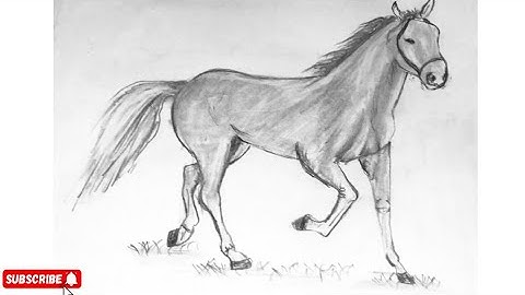 How to draw a horse easy drawing tutorial part 1