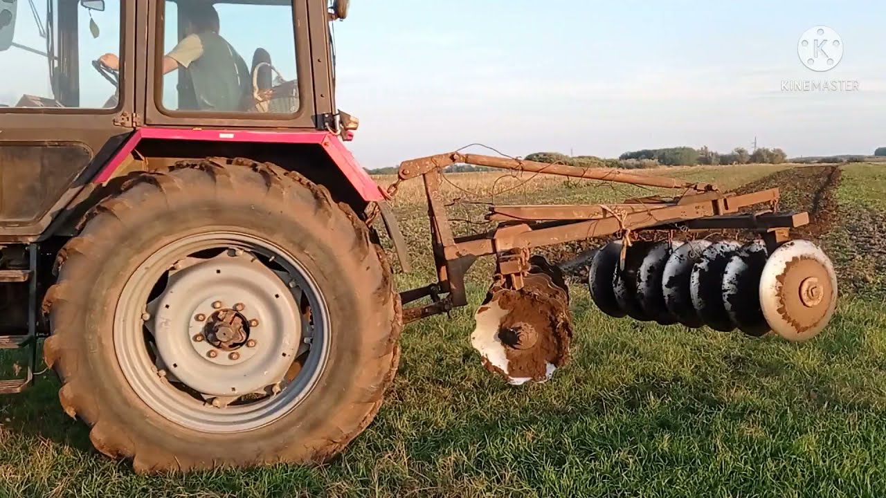 MTZ-82-es.Magágy előkészítő tárcsázás,ifjú pilota a fedélzeten./MTZ Agro Vlog/.2021.