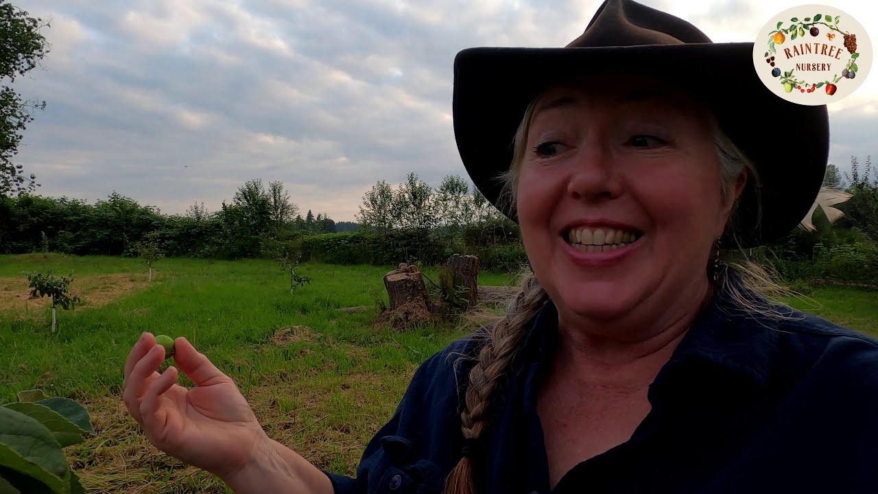 Thinning Apple Trees with Laura Sweany and Raintree Nursery