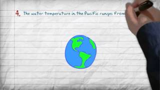 5 Facts About the Pacific Ocean