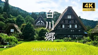 [ Shirakawago ] Summer is the best time to visit #shirakawago #japan