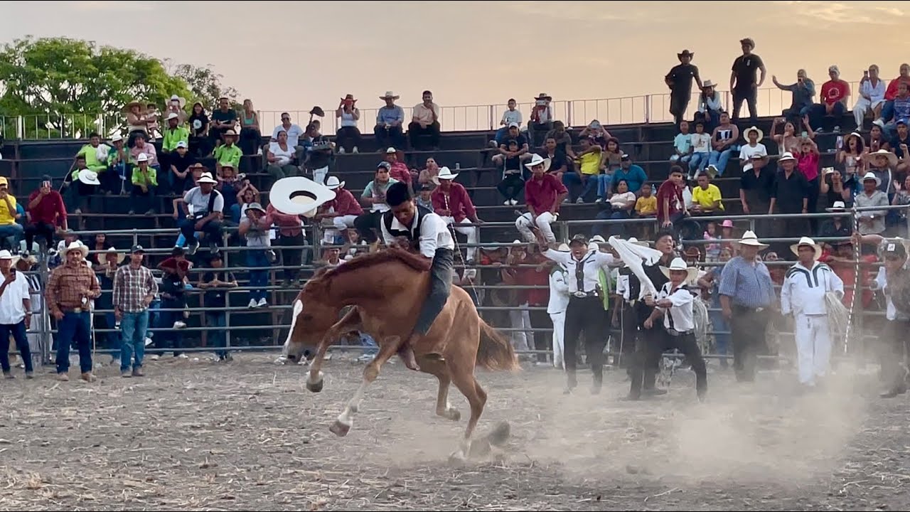 PIMOCHA RODEO MONTUBIO (19/10/2025) Valientes jinetes demostrando sus raíces montubias. Ecuador...