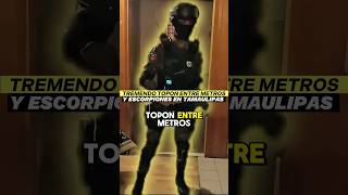 Escorpiones Graban Topon Con Metros En Tamaulipas