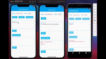 Example of use Flutter Socket Plugin~