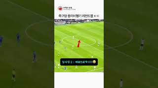축구장 종이비행기 레전드짤 ㄷㄷ