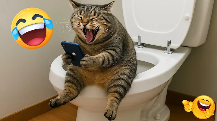 Video 11083301: dog compilation, pets funny animals, funny cat