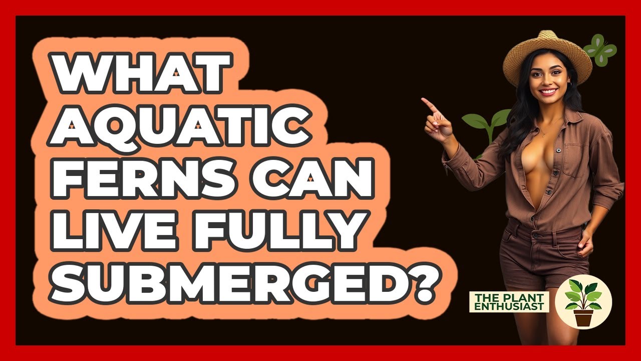 What Aquatic Ferns Can Live Fully Submerged? - The Plant Enthusiast