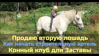 Продаю вторую лошадь / Как начать строительную артель / Конный клуб для Заставы