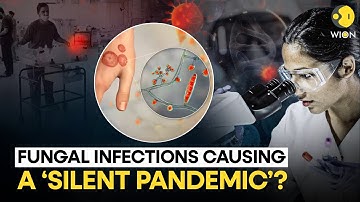 Scientists Warn Deadly Fungal Infections Are Causing A 