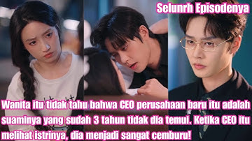 Wanita itu tidak tahu bahwa CEO perusahaan baru itu adalah suaminya yang sudah 3 tahun tidak dia