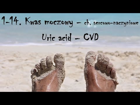1-14. Kwas moczowy – CVD // Uric acid - CVD