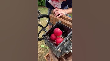 🍎 Does anyone else’s family make apple juice the old-fashioned way? #shorts #apples #travel #oregon