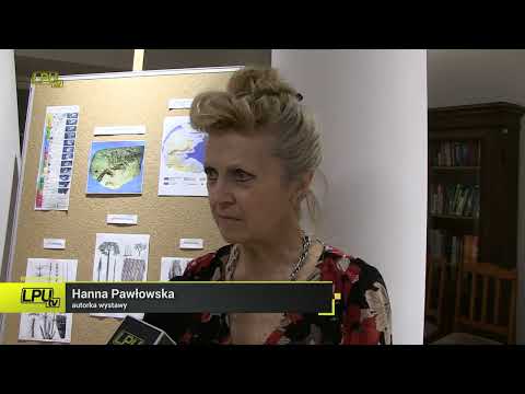 Hanna Pawłowska   Wystawa paleontologiczna w Pałacu Czartoryskich
