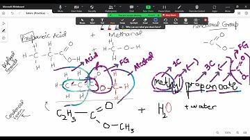 Edexcel IGCSE Chemistry (9-1) | Unit 4 | Organic Chemistry | Chapter 28 | Esters
