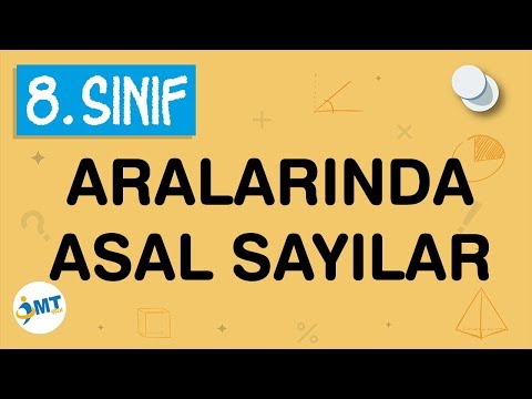 Aralarında Asal Sayılar Konu Anlatımı 8. Sınıf Matematik (imt hoca)