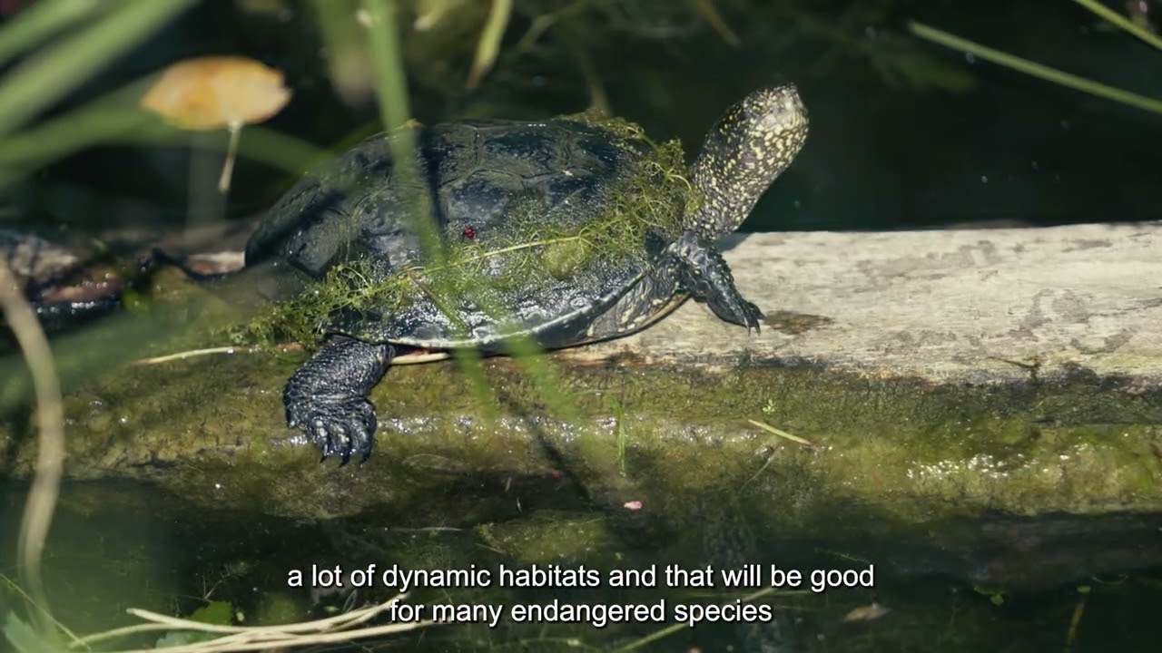 Task Forces for biodiversity, landscapes and air & soil quality