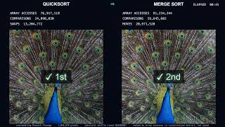 Which Sort Rebuilds the Peacock First Quicksort vs Merge Sort (4K)
