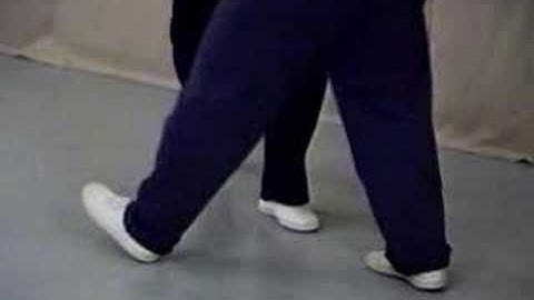 Push Hands Video Manual vol. 2 太極推手(Dalu 