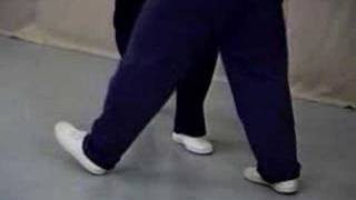 Push Hands Video Manual vol. 2 ε€ͺζ₯΅ζ¨ζ(Dalu 'Large Roll-back')
