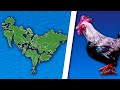 World map is a rooster