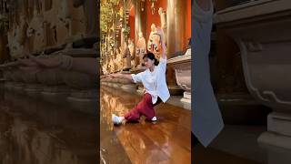tai Chi  For Practice  Win The 24step Tai Chi Move Guide Now kungfu