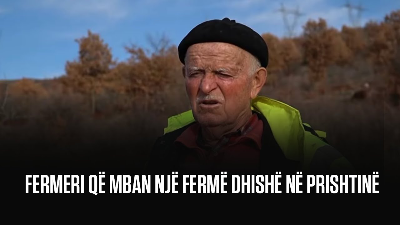 Fermeri që mban një fermë dhishë në Prishtinë
