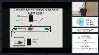 Lecture 1.7: Hippocampus, Memory, & Sleep, Part 2