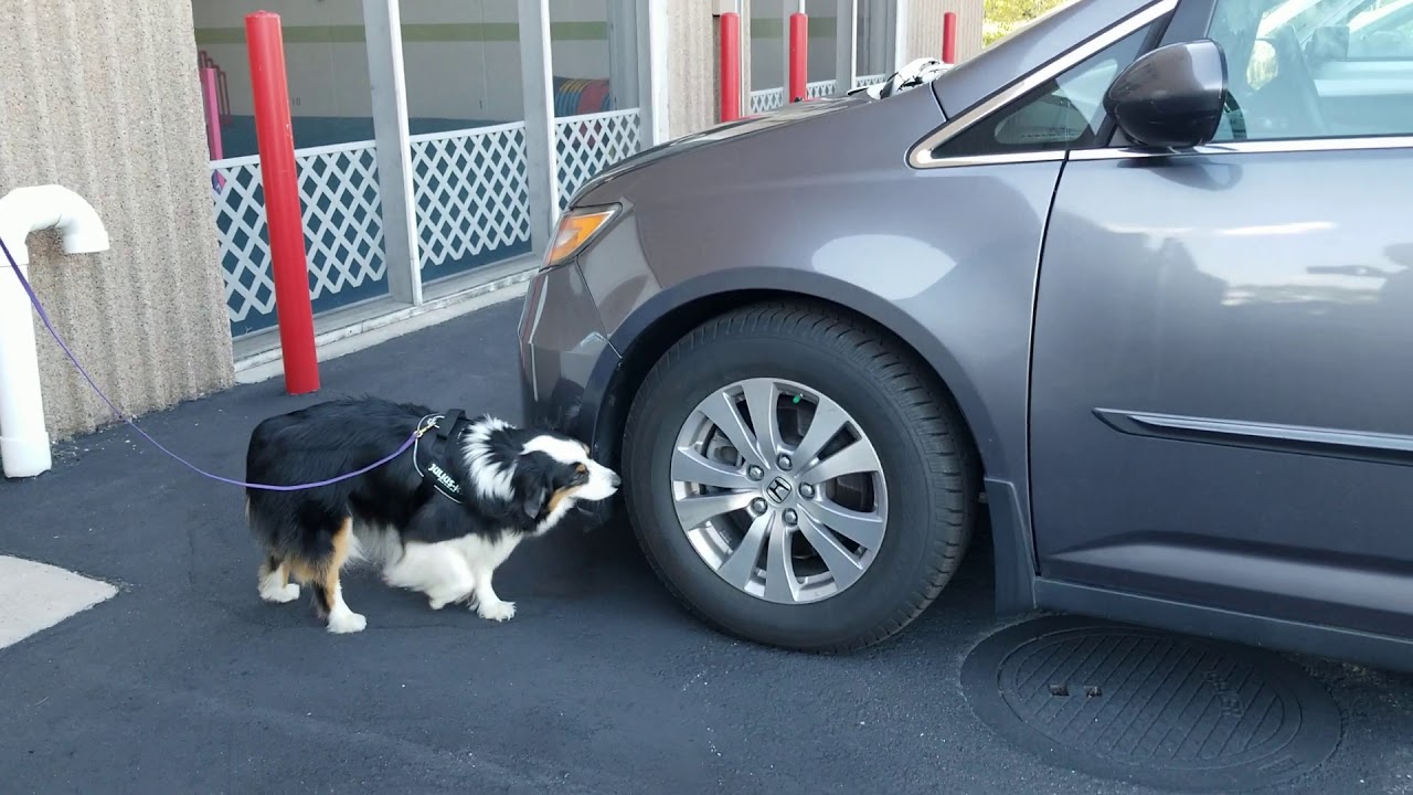 Sandy Creeks Nicki NW Vehicles Inaccessible 1 6/24/2020 YouTube