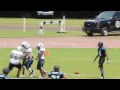 Crusaders HARD WORKING WR