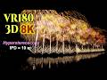 [ Hyperstereoscopy 3D VR180 ] 長岡花火 フェニックス 超立体視 3D花火：2026 Nagaoka Festival Fireworks - FENIX -