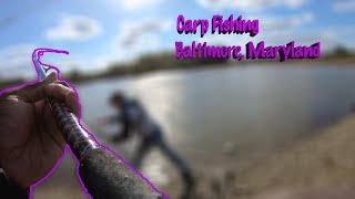 Carp Fishing in Baltimore, Maryland