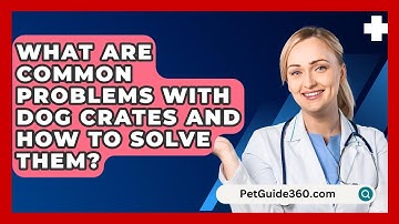 What Are Common Problems With Dog Crates And How To Solve Them? - PetGuide360.com