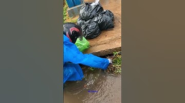 Massive Blocked Drain Remove All Garbage On Street #satisfying #drain#street