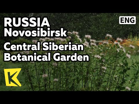【K】Russia Travel-Novosibirsk[러시아 여행-노보시비르스크]아카뎀고로도크, 중앙시베리아식물원/Akademgorodok/Botanical Garden
