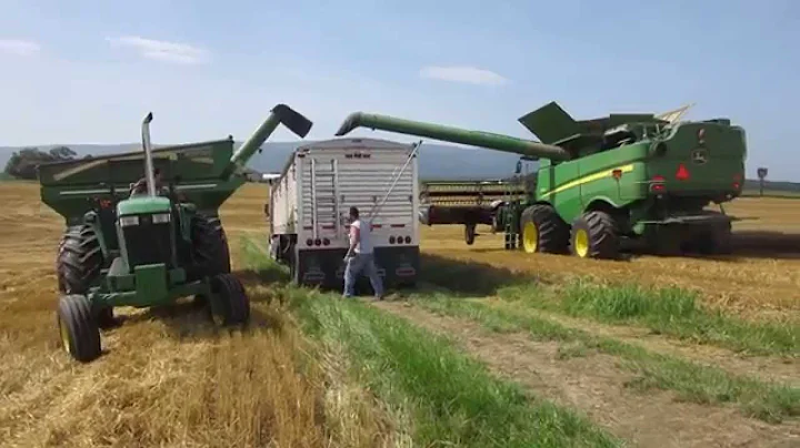 June 2015 Wheat Harvest Kinsinger Farm Stuarts Dra...