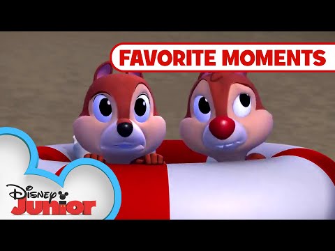 Nutty Tales Compilation! Part 3 | Chip 'N Dale's Nutty Tales | Disney Junior