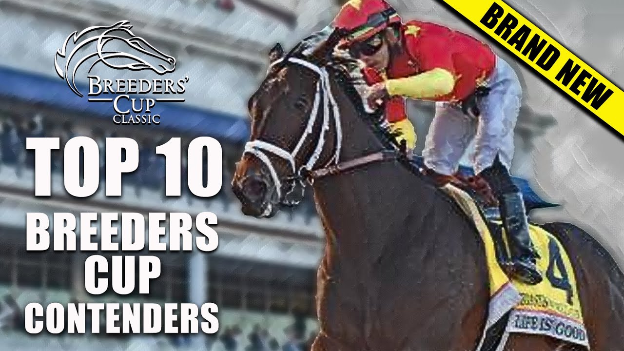 TOP 10 2022 BREEDERS' CUP CLASSIC CONTENDERS NEW LIST ROAD TO