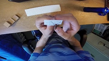How to Create an Insect Collection EP3: Labeling your Insect