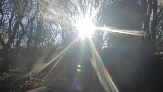 Spring Equinox Vibes From The Woodlands - Magic Is In The Air by  Musings From The Woodlands 124 views 1 month ago 1 minute, 31 seconds