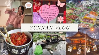 ALONE in CHINA vlog🍧: dali, gucheng, shopping, haul, boat ride, village house tour, yummy food, etc