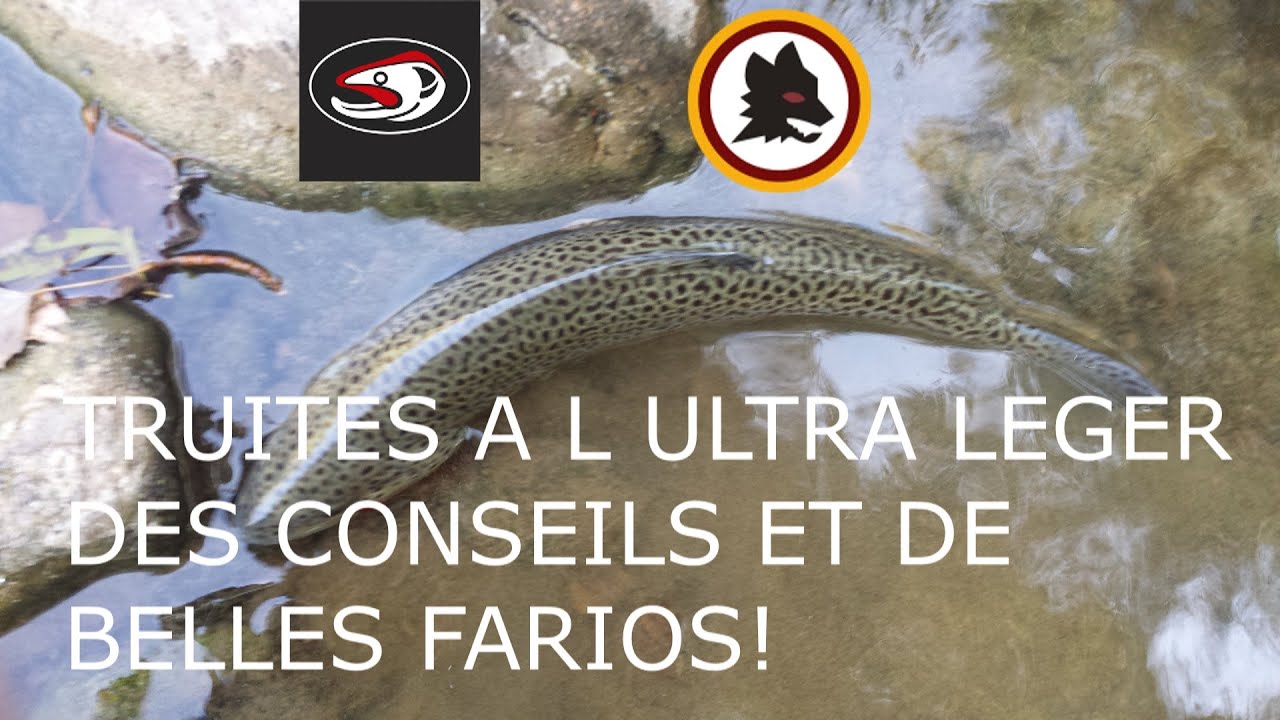 TRUITE A L'ULTRA LEGER, CONSEILS ET BELLES FARIOS !
