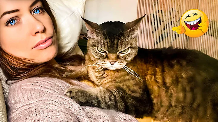 Watch the video about When God Sends You Funny Dogs 😹🐶Smarty Funny Animals Video Compilation